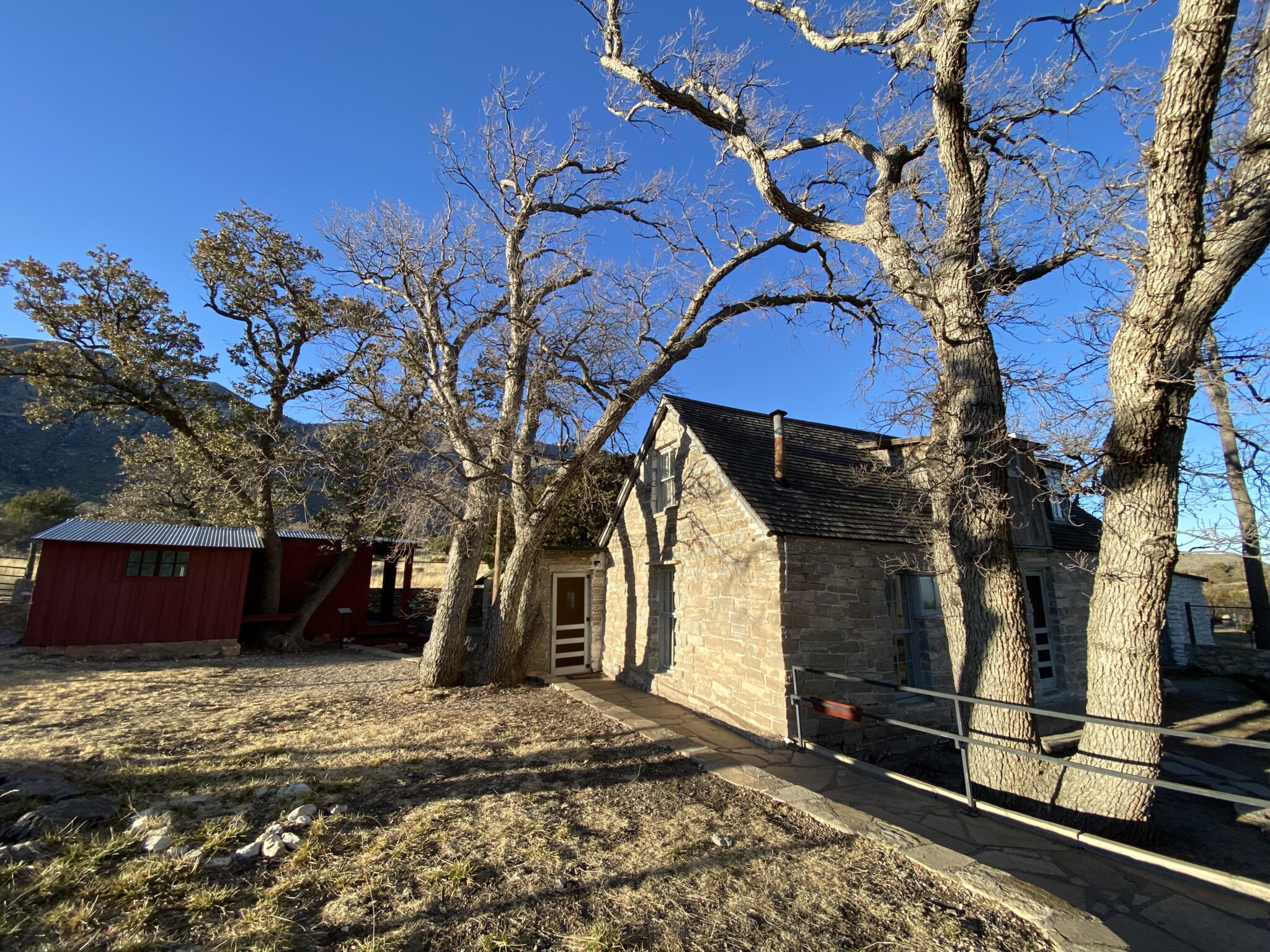 2022年2月グアダルーペ山脈国立公園旅行記 シカゴ郊外駐在員の国立公園＆州制覇への道